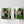 3 Photo Galley Mug